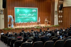 استادان نمونه دانشگاه در سال 1403 معرفی و تقدیر شدند